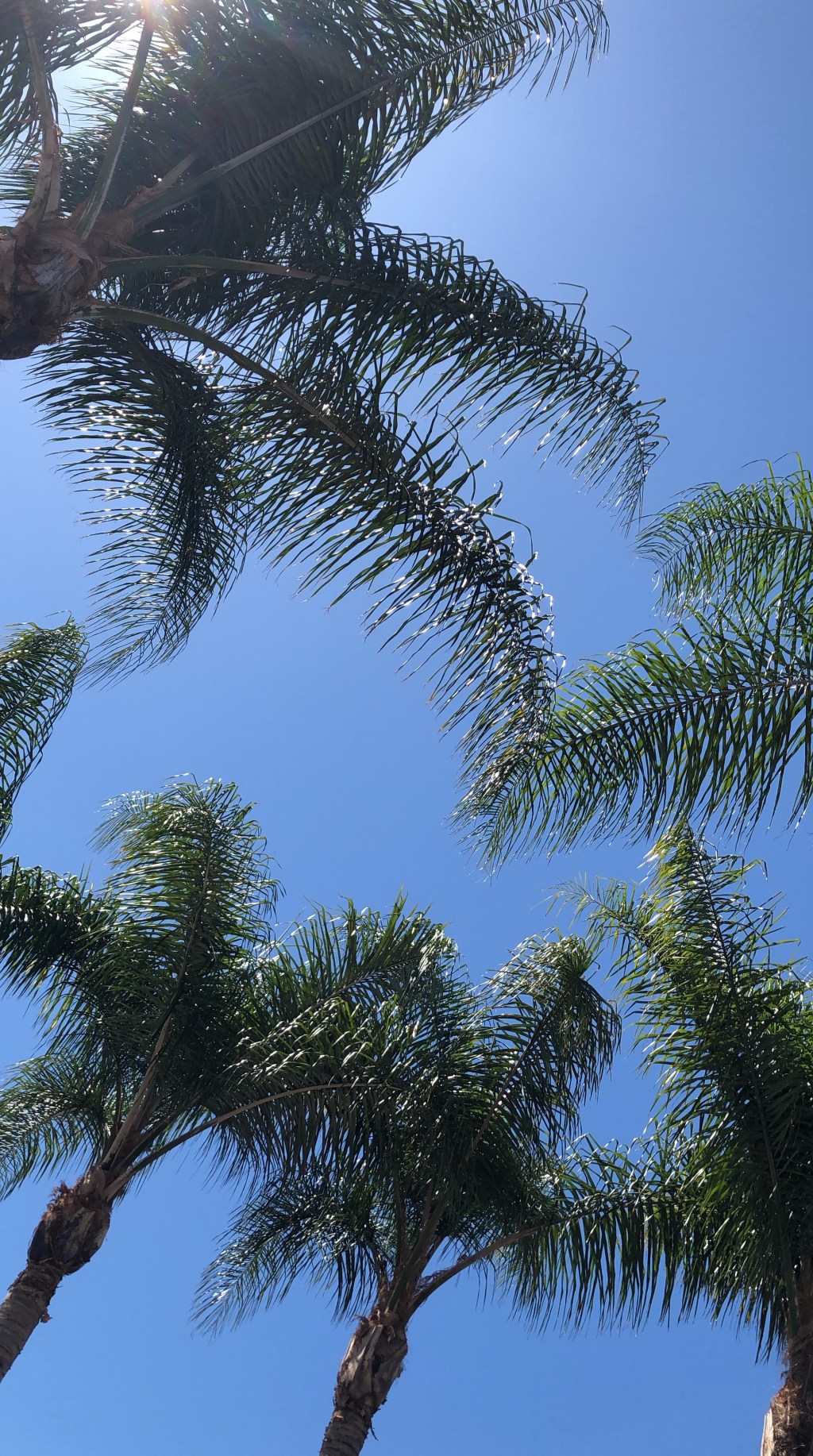 DD732C54-62B9-4072-A930-69514CF2406B