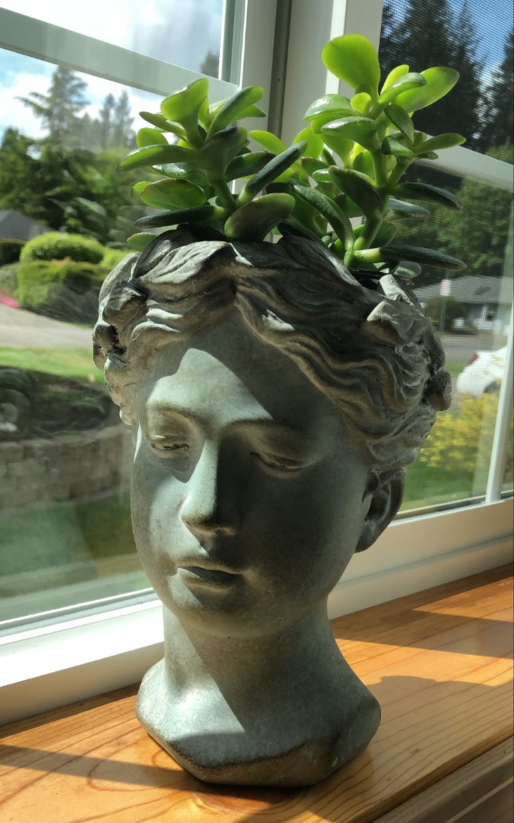 The Latte…and Revolution&nbsp;Factor