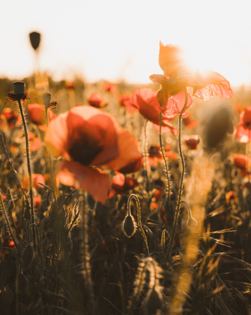 Five One Time Efforts that Continuously Increase Your&nbsp;Wealth￼