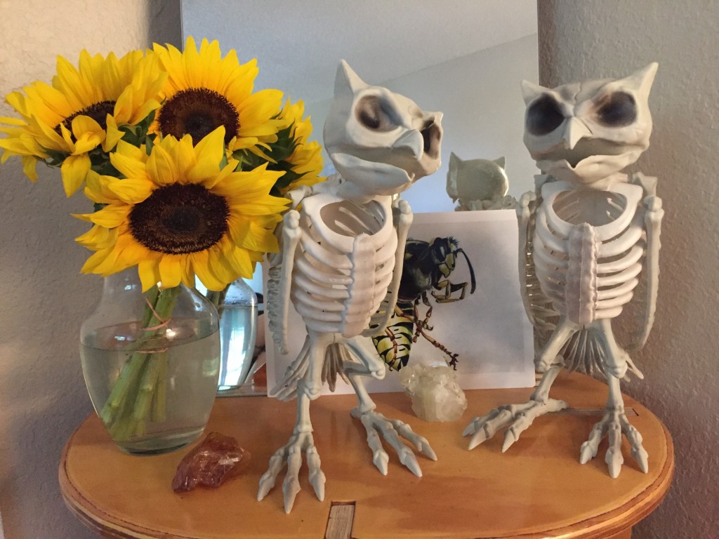 Three Things I Gave Up on My Debt Free&nbsp;Journey